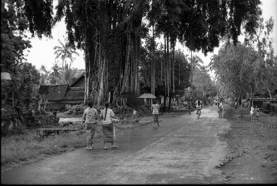 Bali Arts. Peliatan 1973